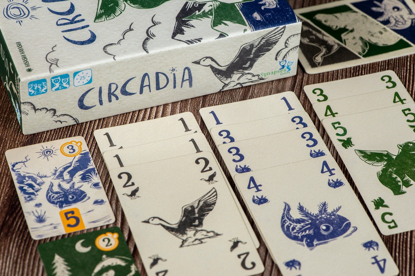 PRE-ORDER - Circadia